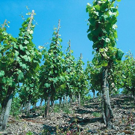 Weinhotel Hubertus Garni Klotten Εξωτερικό φωτογραφία