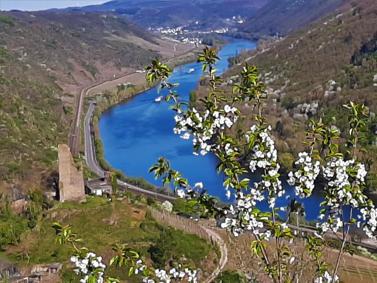 Weinhotel Hubertus Garni Klotten Εξωτερικό φωτογραφία